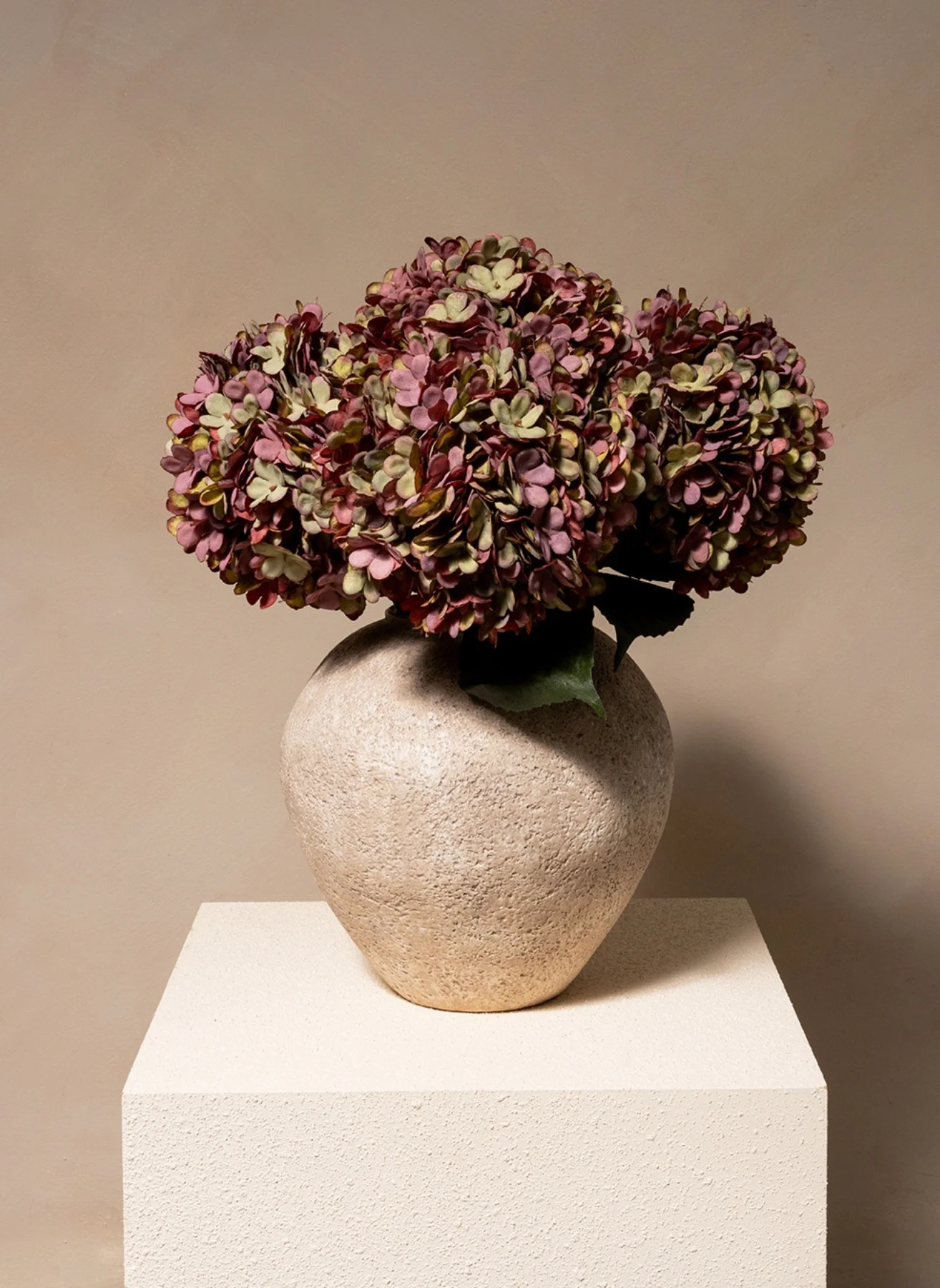 Nieuwe Grote Hortensia Collectie